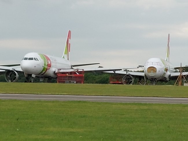 ../previews/012-2023-06-23 18.12.35.jpg.medium.jpeg